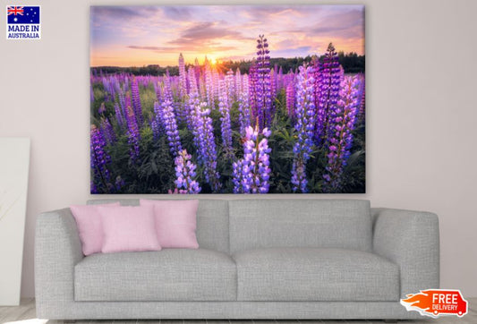 Lupine Flower Field Scenery Photograph Print 100% Australian Made