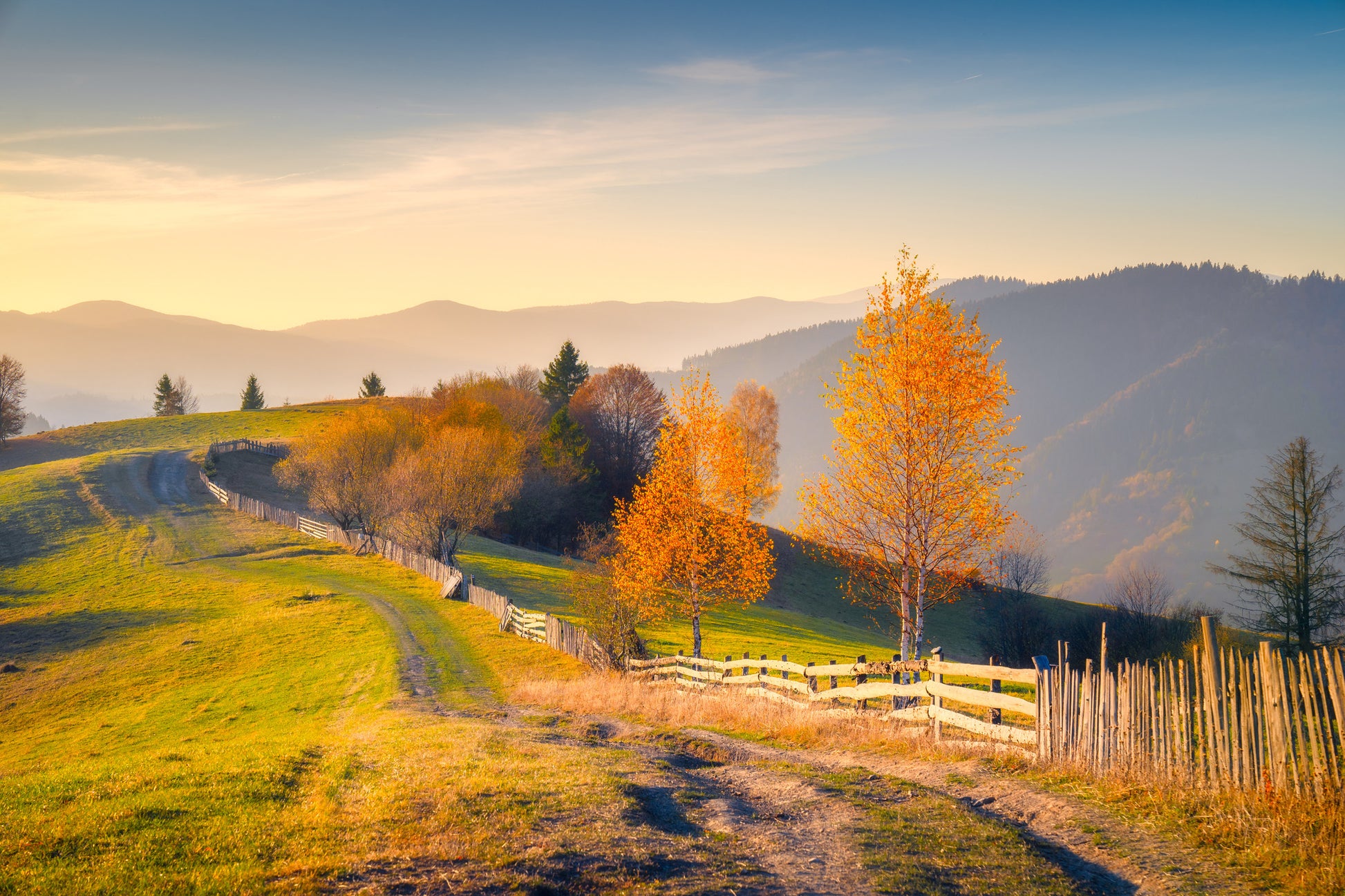 Autumn Field Scenery Photograph Home Decor Premium Quality Poster Print Choose Your Sizes
