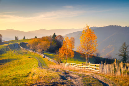 Autumn Field Scenery Photograph Home Decor Premium Quality Poster Print Choose Your Sizes