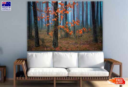 Autumn Misty Forest Photograph Print 100% Australian Made