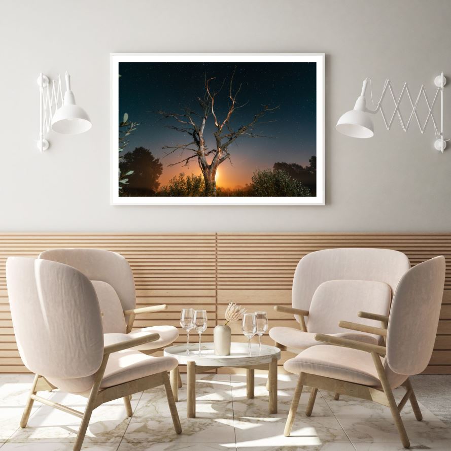 Dead Tree Sunset Scenery View Photograph Home Decor Premium Quality Poster Print Choose Your Sizes