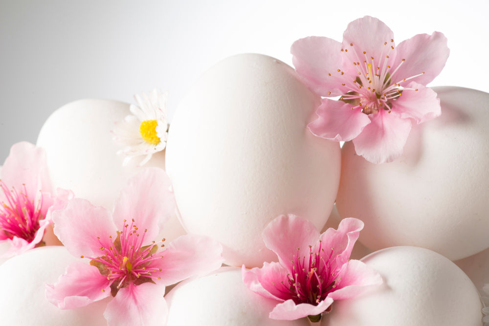 Pink Flowers & Eggs Photograph Print 100% Australian Made