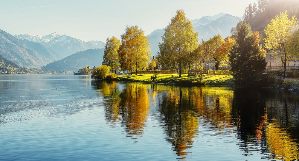 Lake & Forest Scenery Photograph Print 100% Australian Made