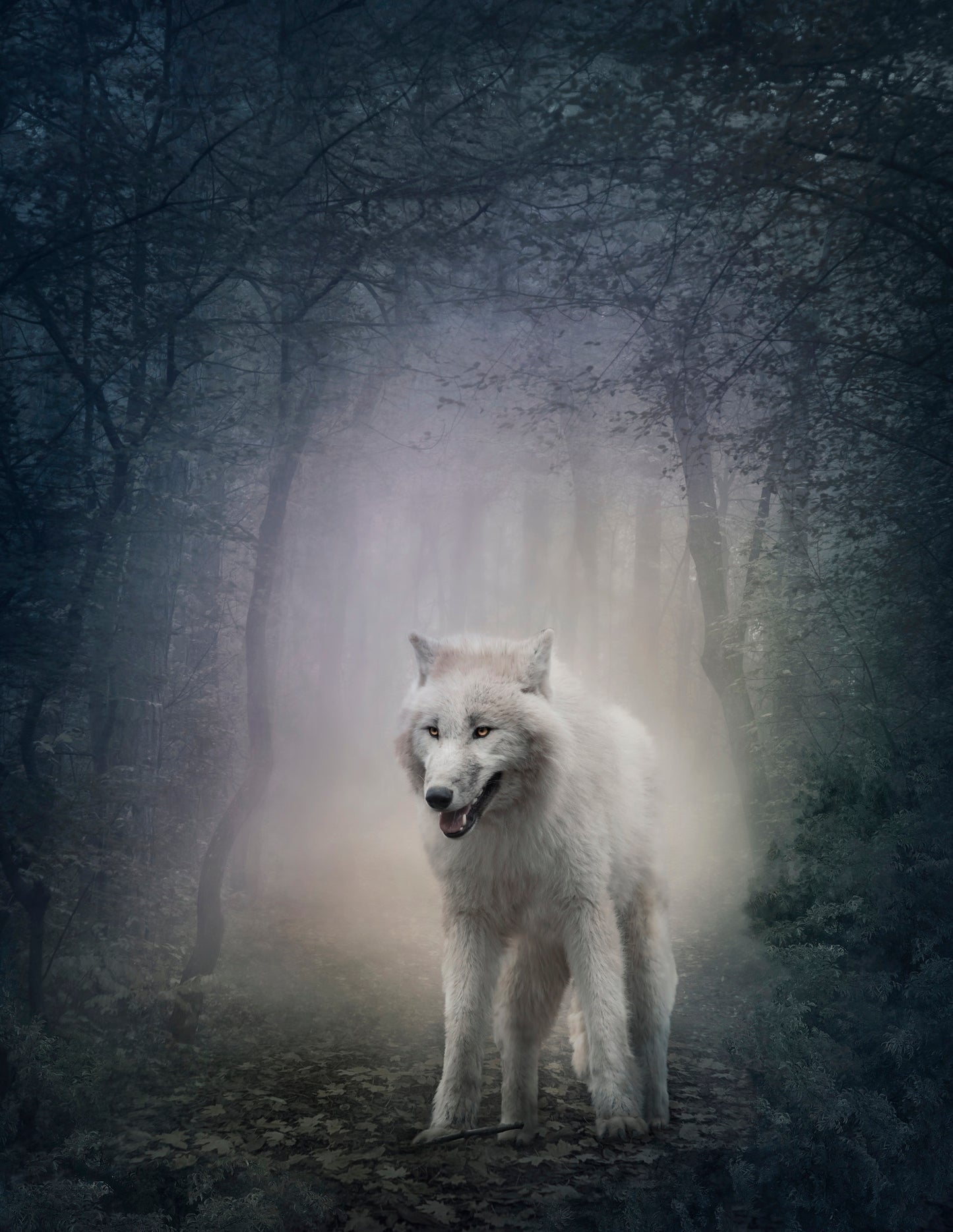 Wolf in Forest Digital Painting Print 100% Australian Made