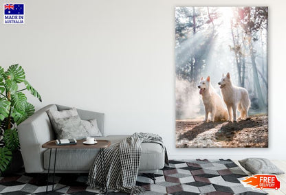 White Dogs in Forest Photograph Print 100% Australian Made