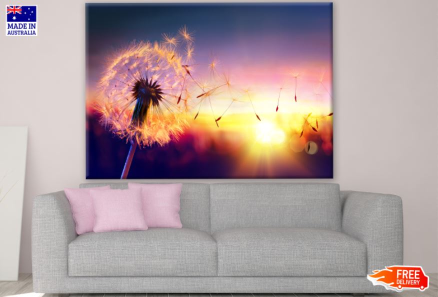 Dandelion Flower Sunset Photograph Print 100% Australian Made