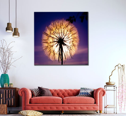 Square Canvas Dandelion Flower Closeup Photograph High Quality Print 100% Australian Made