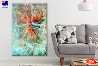 Dandelion Flower Photograph Print 100% Australian Made