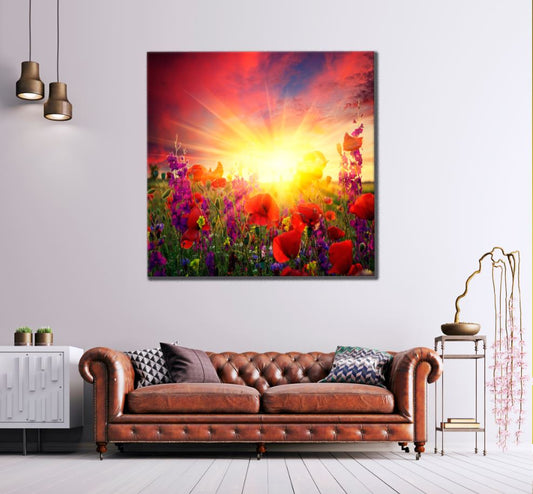 Square Canvas Flower Field at Sunset Photograph High Quality Print 100% Australian Made