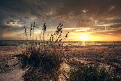 Sunset Sea Scenery Photograph Print 100% Australian Made