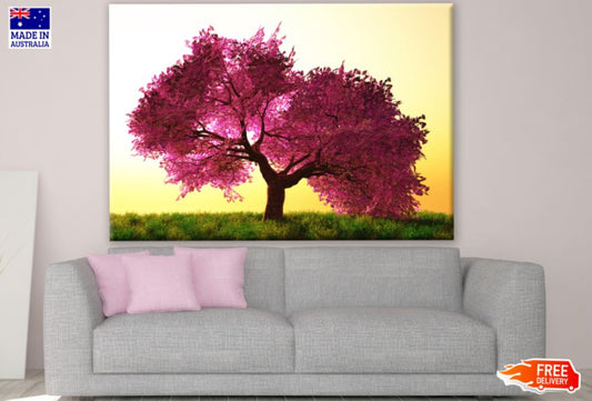 Pink Leaves Tree at Sunset Scenery Print 100% Australian Made