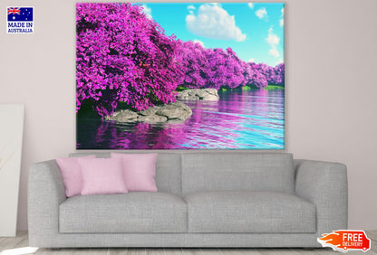 Forest Near River Photograph Print 100% Australian Made