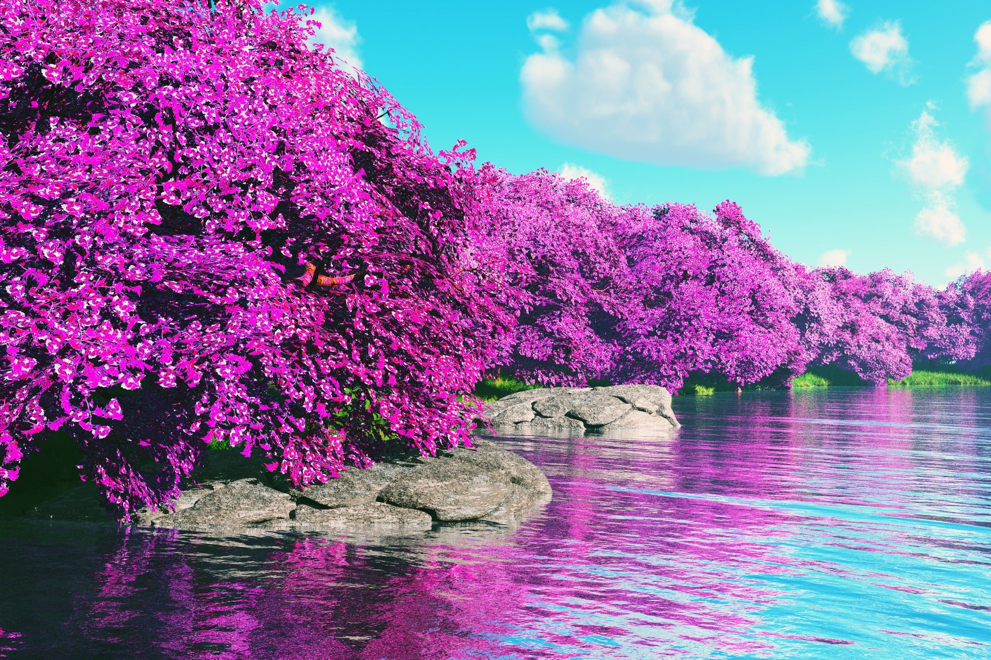Pink Tree Forest Near Lake View Photograph Home Decor Premium Quality Poster Print Choose Your Sizes