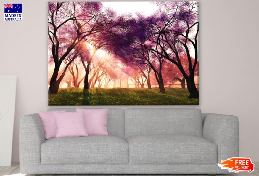 Sunrays in Forest Sunset Photograph Print 100% Australian Made