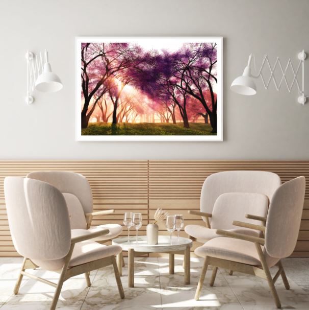 Sunset View in Forest Photograph Home Decor Premium Quality Poster Print Choose Your Sizes