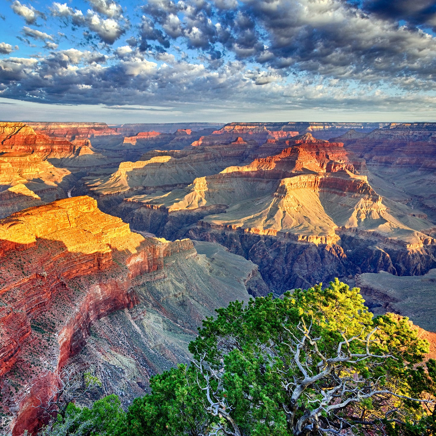 Square Canvas Landscape Scenery Photograph High Quality Print 100% Australian Made
