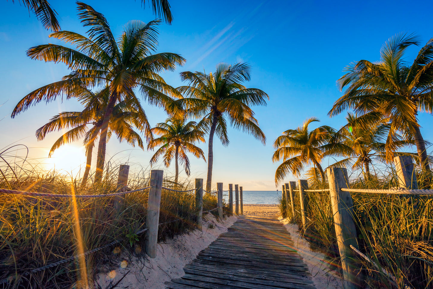 Foot Path to Sea & Palm Trees Photograph Print 100% Australian Made