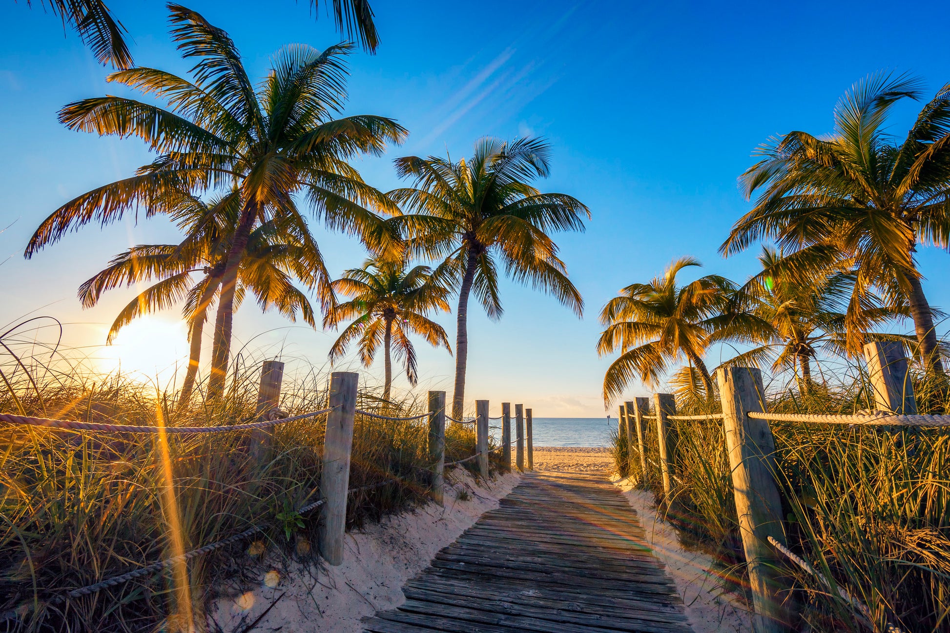 Palm Tree Road to Beach Photograph Print 100% Australian Made