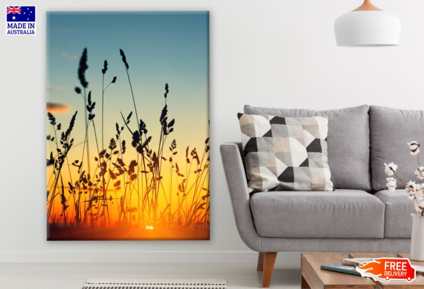 Stems of Wild Herbs at Sunset Photograph Print 100% Australian Made