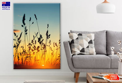 Stems of Wild Herbs at Sunset Photograph Print 100% Australian Made