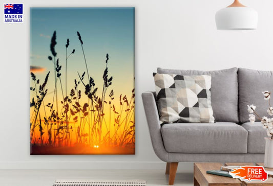Stems of Wild Herbs at Sunset Photograph Print 100% Australian Made