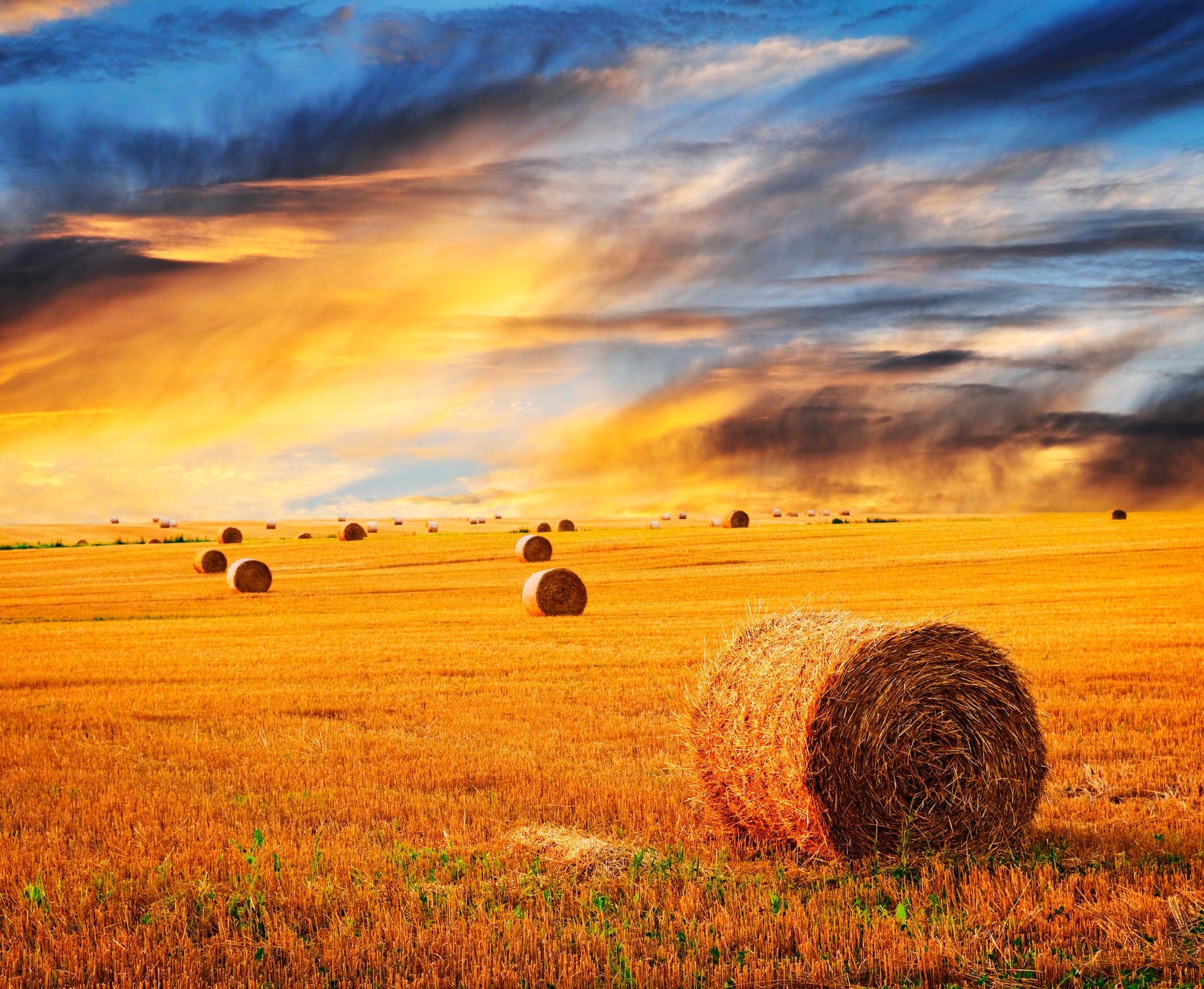 Hay Stacks on Field Photograph Home Decor Premium Quality Poster Print Choose Your Sizes