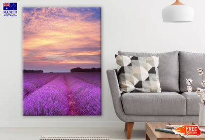 Lavender Flower Field Scenery Photograph Print 100% Australian Made