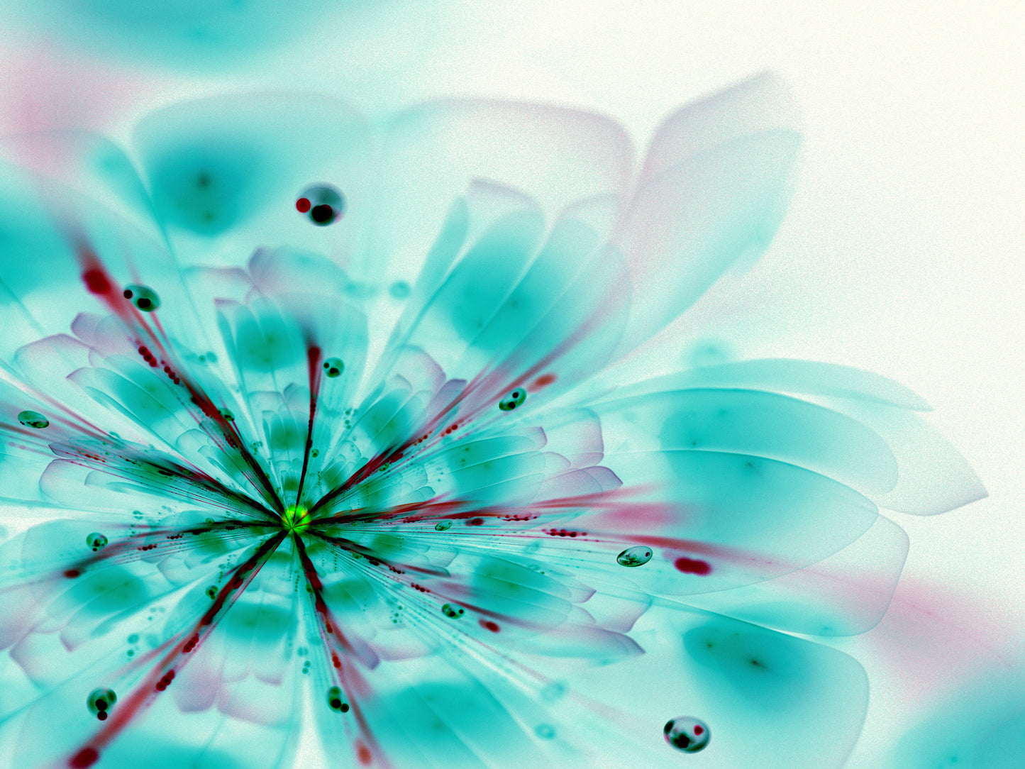 Blue Flower Closeup Photograph Print 100% Australian Made