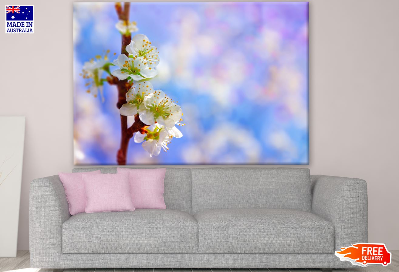 Blossoming Almond Branch Photograph Print 100% Australian Made