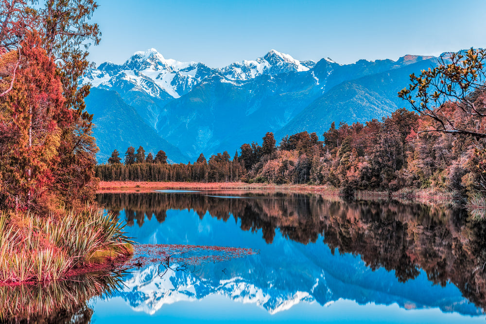 Lake in Forest Scenery Photograph Print 100% Australian Made