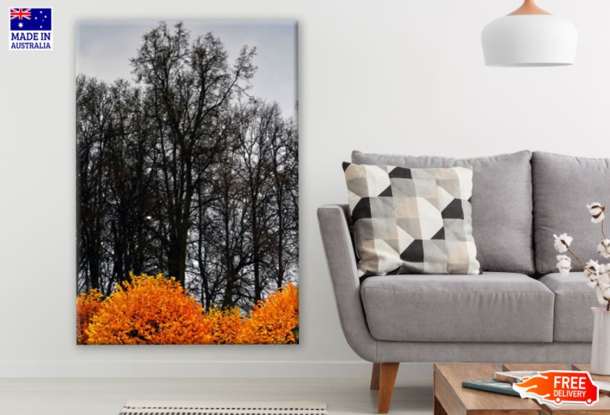 Dark Tree Forest & Orange Bush Photograph Print 100% Australian Made