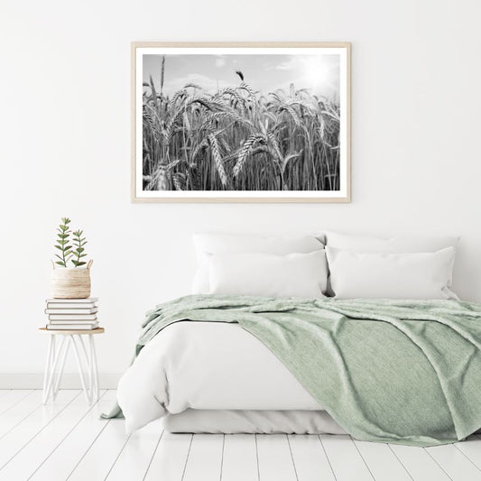 Wheat Field B&W Macro Photograph Home Decor Premium Quality Poster Print Choose Your Sizes