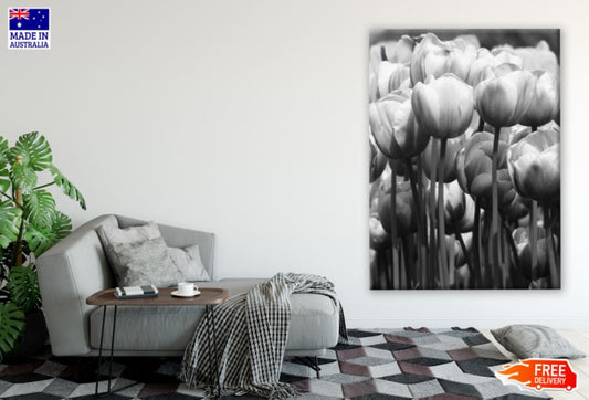 Tulip Flower Field B&W Photograph Print 100% Australian Made