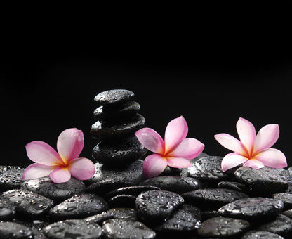 Zen Stones & Flowers Photograph Home Decor Premium Quality Poster Print Choose Your Sizes