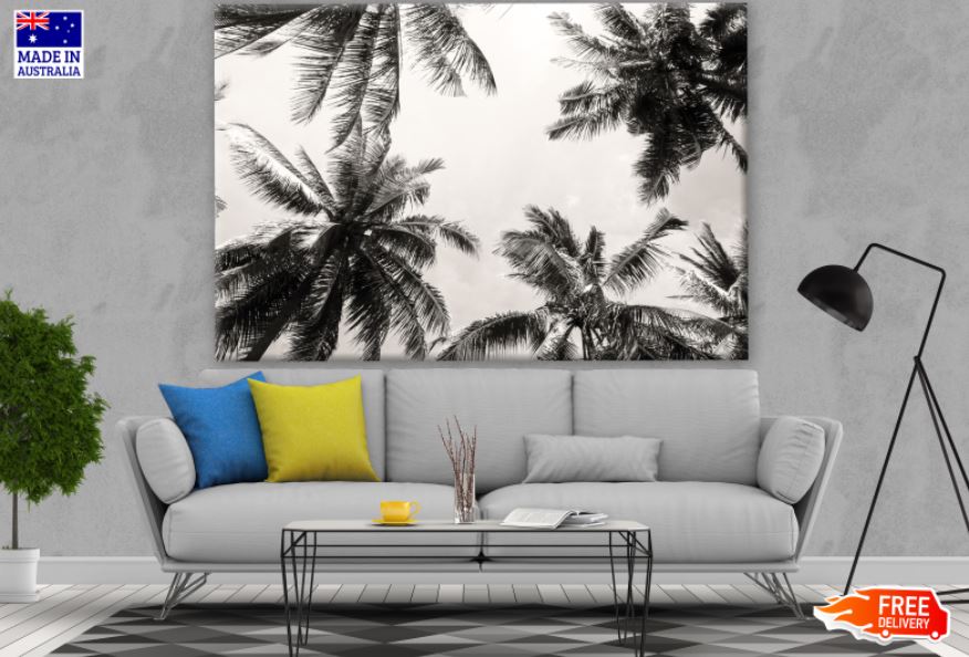 Palm Trees Sky View B&W Photograph Print 100% Australian Made