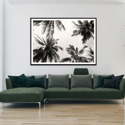 Palm Trees B&W Photograph Home Decor Premium Quality Poster Print Choose Your Sizes