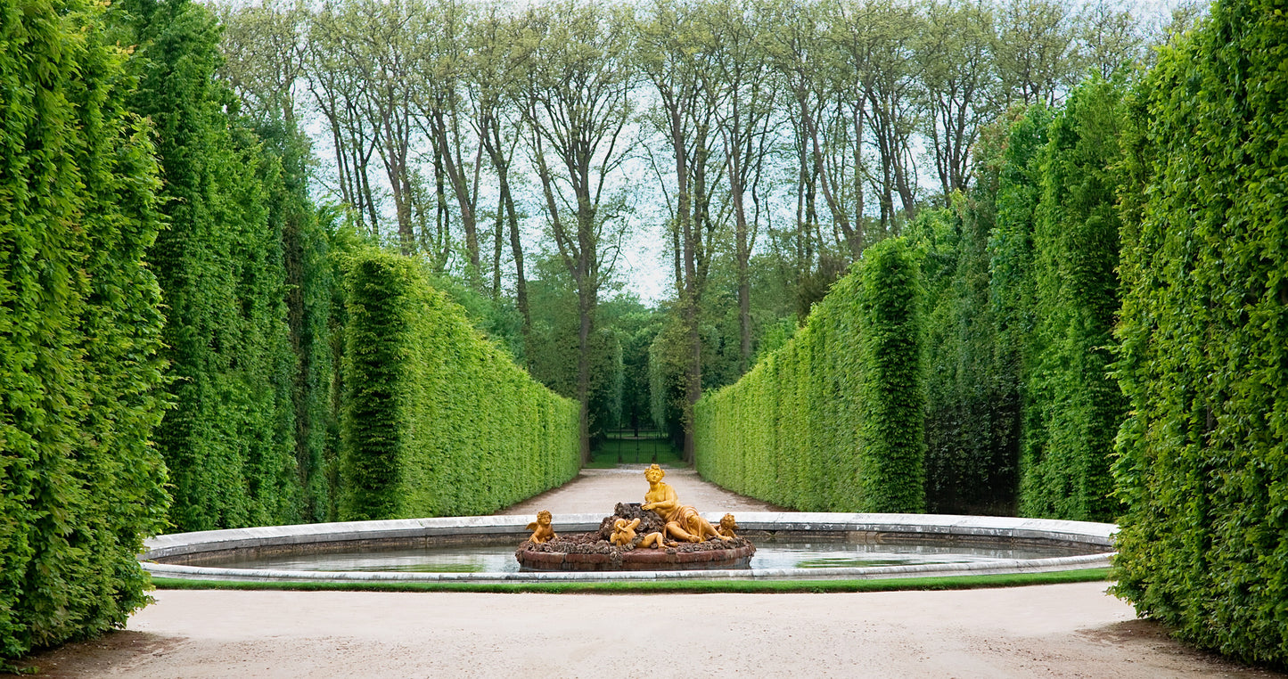 Road in Garden Photograph Home Decor Premium Quality Poster Print Choose Your Sizes