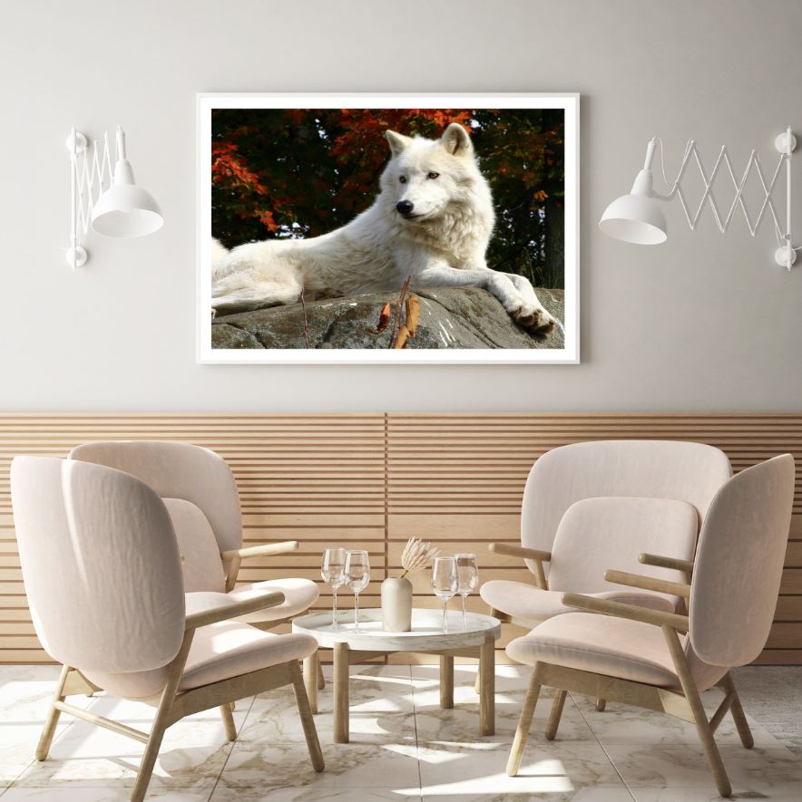 White Dog in Forest Photograph Home Decor Premium Quality Poster Print Choose Your Sizes