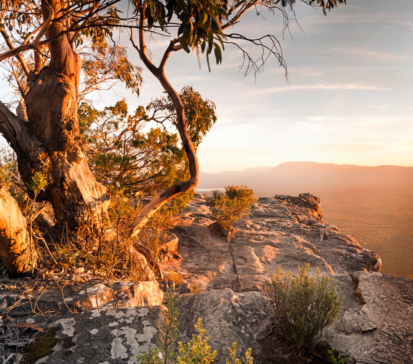 Square Canvas Bush on Mountains Sunset Scenery Photograph High Quality Print 100% Australian Made