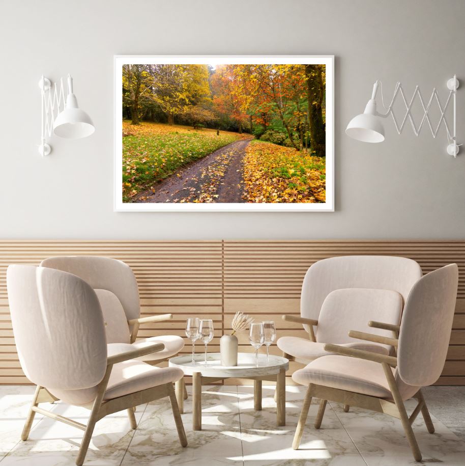 Autumn Forest Scenery Photograph Home Decor Premium Quality Poster Print Choose Your Sizes