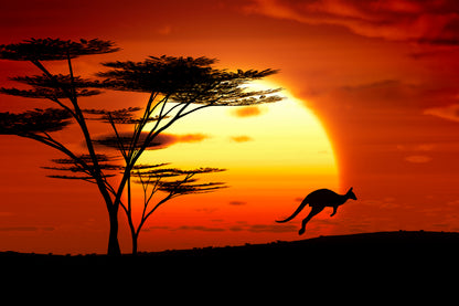 Kangaroo Running at Sunset View Home Decor Premium Quality Poster Print Choose Your Sizes