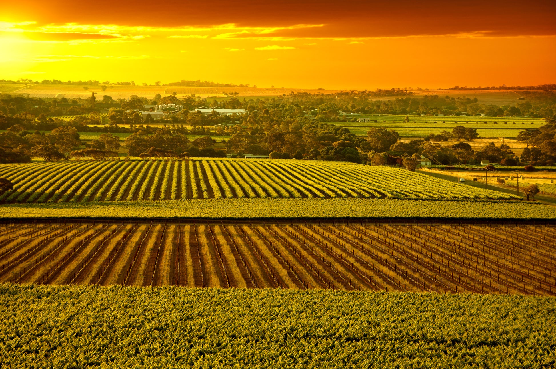Paddy Fields Sunset Scenery View Home Decor Premium Quality Poster Print Choose Your Sizes