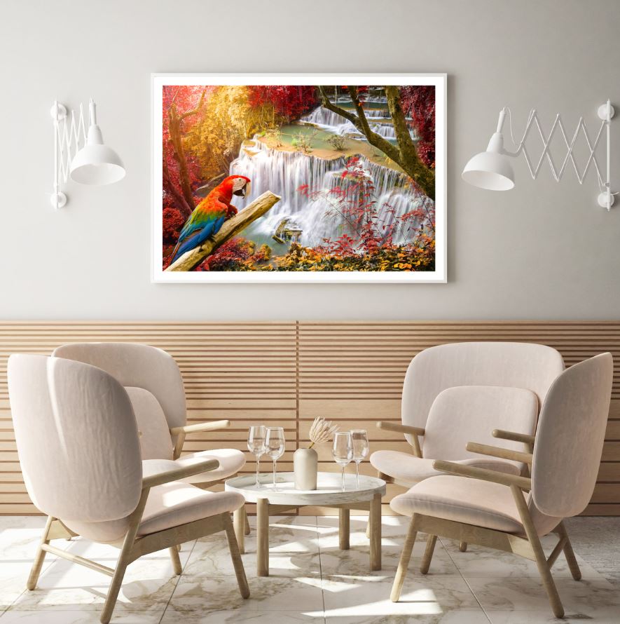 Macaw Bird & Waterfall Scenery Photograph Home Decor Premium Quality Poster Print Choose Your Sizes