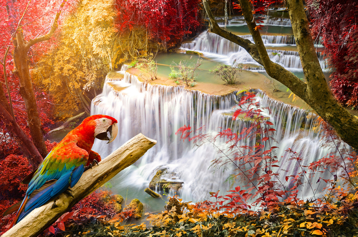Macaw Bird & Waterfall Scenery Photograph Home Decor Premium Quality Poster Print Choose Your Sizes