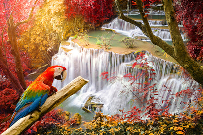 Macaw Bird & Waterfall Scenery Photograph Home Decor Premium Quality Poster Print Choose Your Sizes
