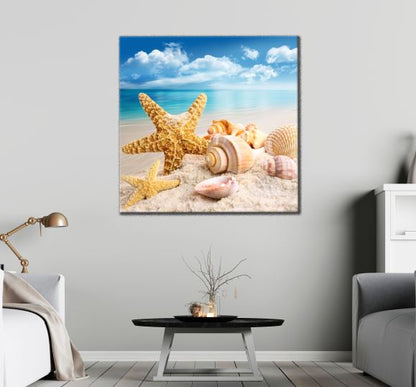 Square Canvas Starfish & Seashells on the Beach Photograph High Quality Print 100% Australian Made