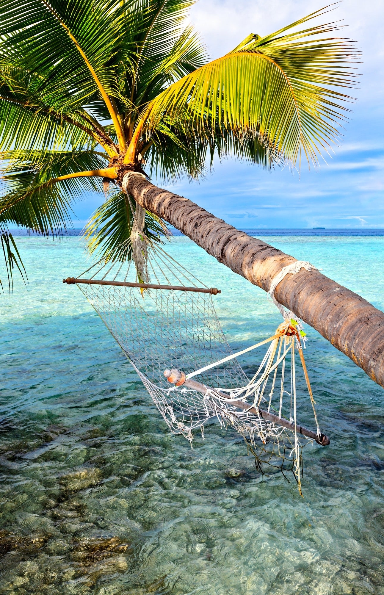 Hammock on Palm Tree Near Sea Home Decor Premium Quality Poster Print Choose Your Sizes