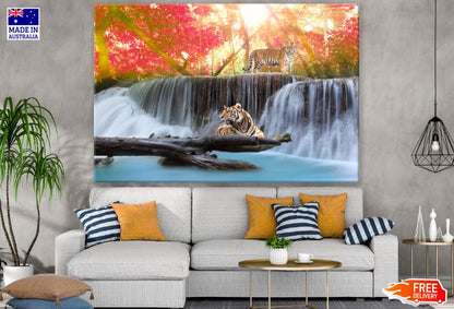 Tigers on Waterfall Scenery Photograph Print 100% Australian Made