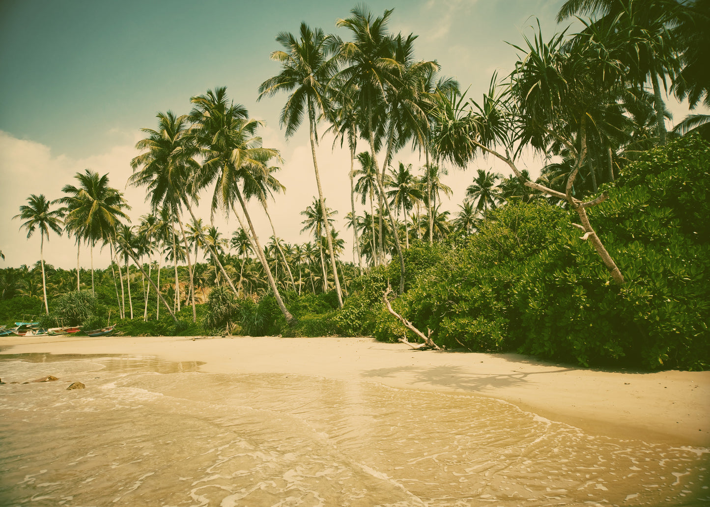 Palm Trees Near Sea Photograph Home Decor Premium Quality Poster Print Choose Your Sizes