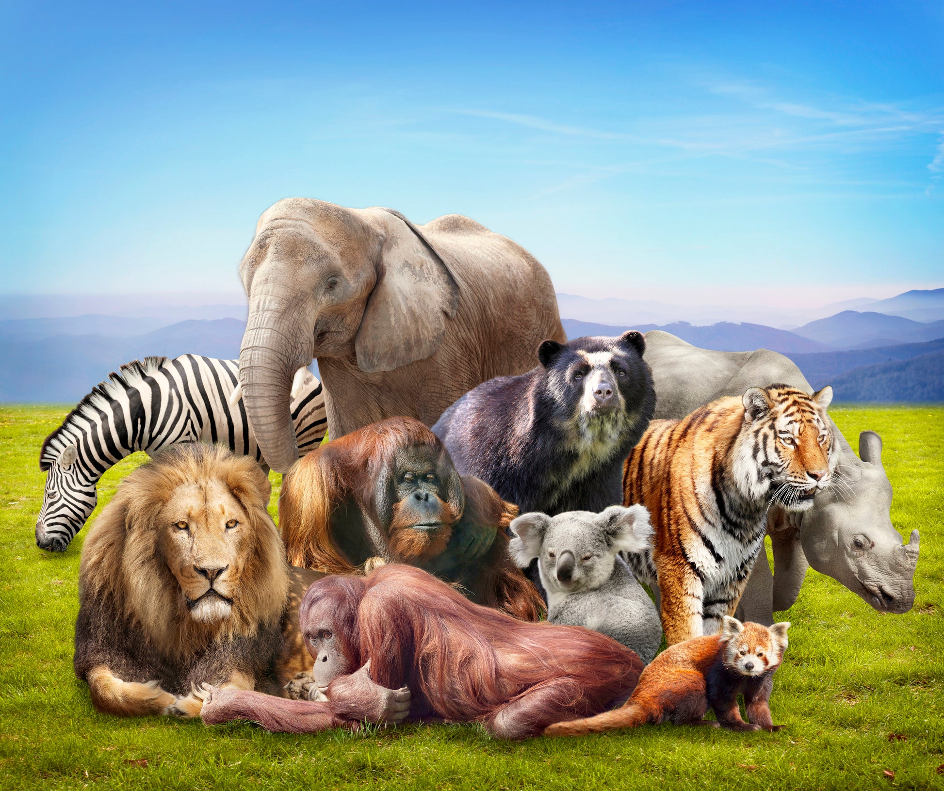 Wild Animals Digital Painting Print 100% Australian Made